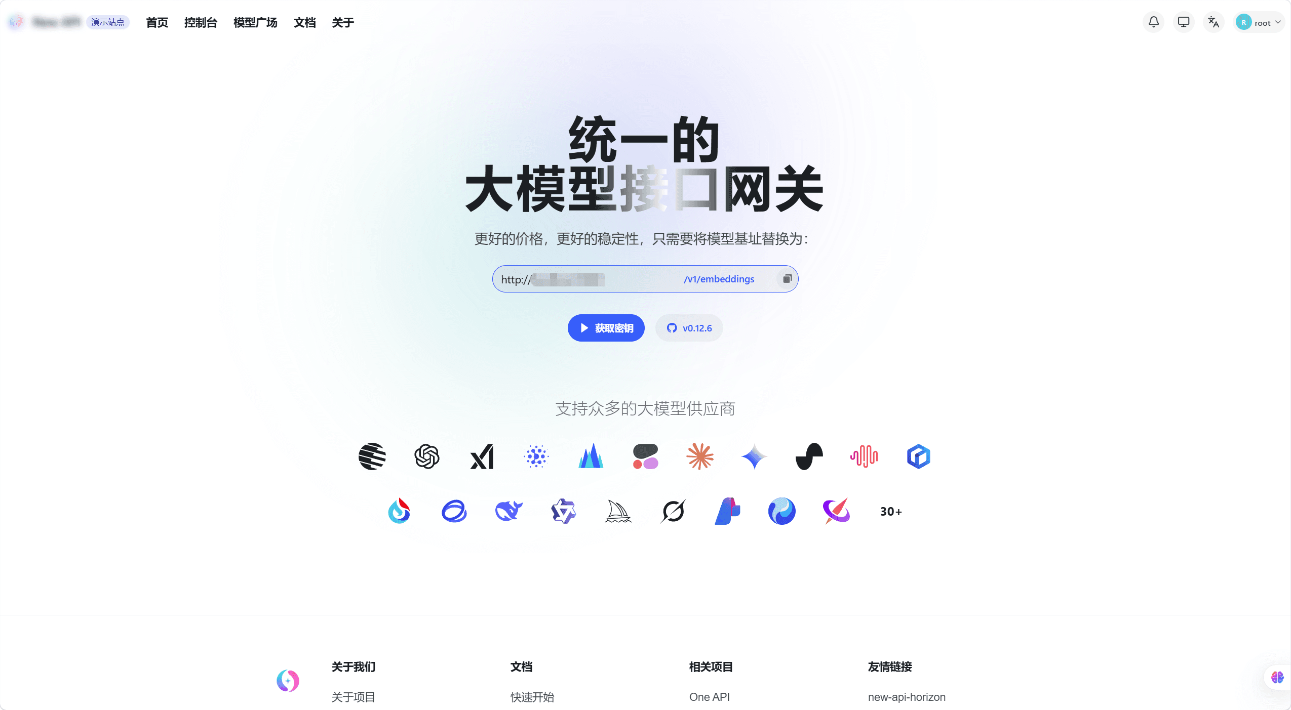 Homepage API address copy area